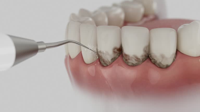 Reliable Dental contractor in Woodland Heights, PA by Dentist Open Now